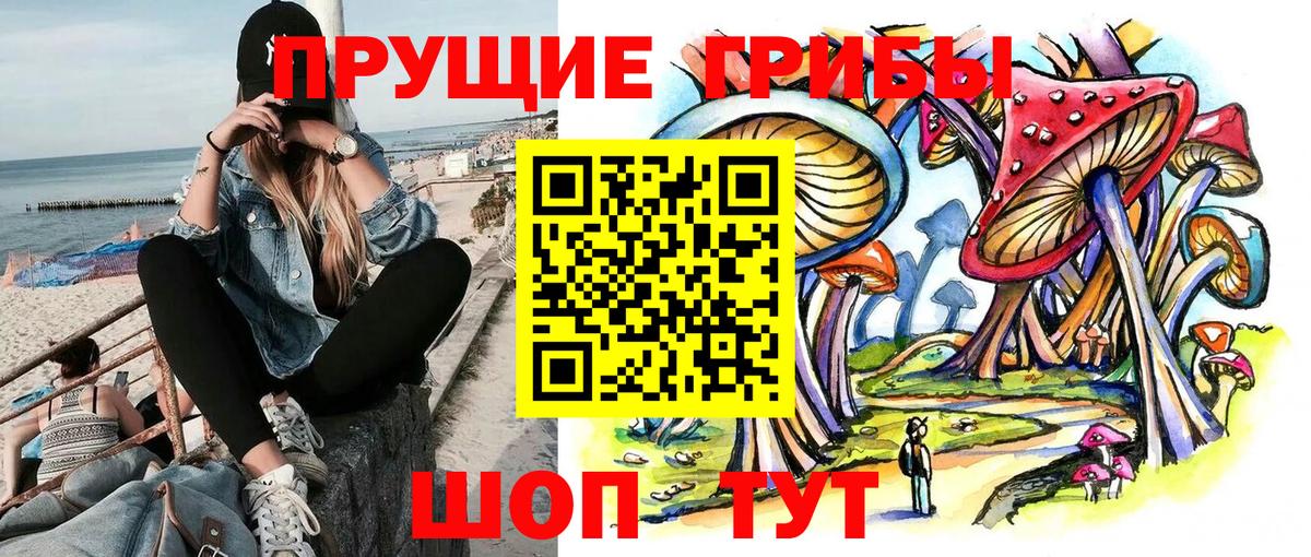 Галлюциногенные грибы GOLDEN TEACHER Коммунар